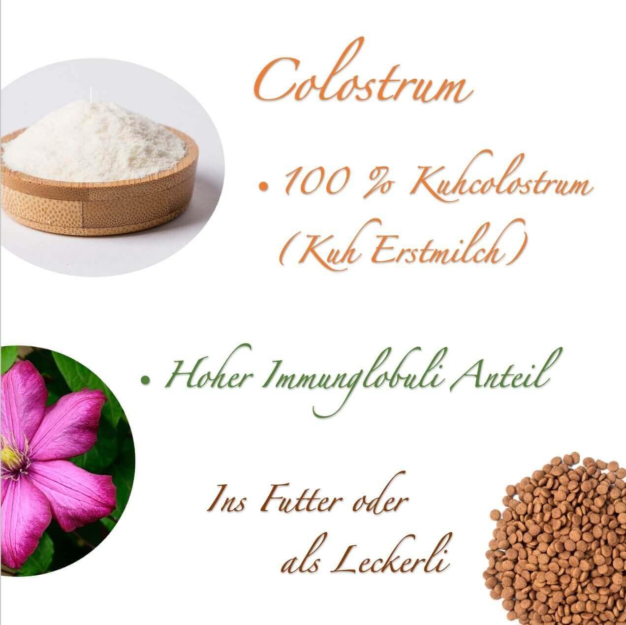 Colostrum Drops Katze – Immunschutz & Stärkung der körpereigenen Abwehrkräfte