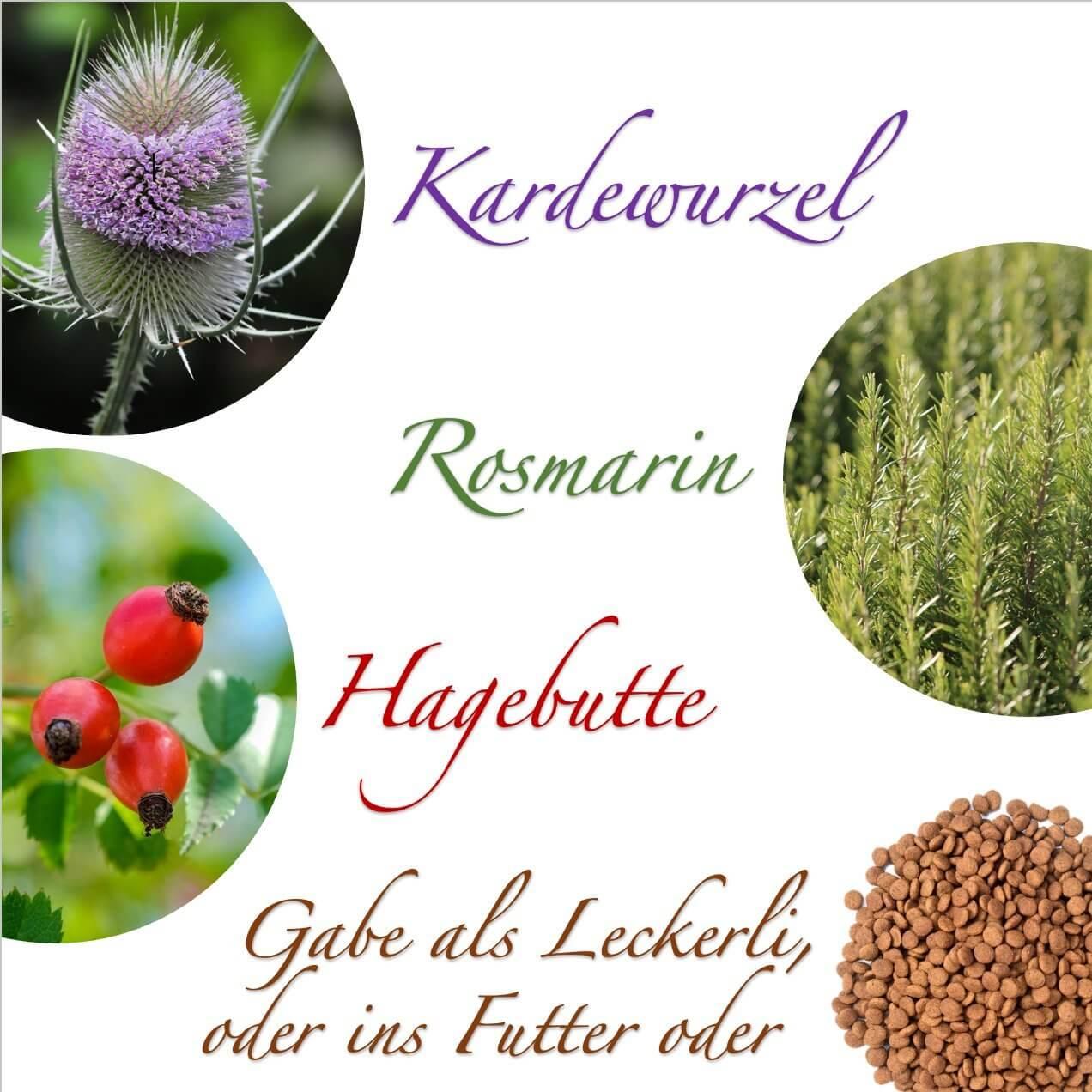 Natürliche Gelenkerli Drops Hund – fördern Mobilität, Flexibilität & Gelenkgesundheit