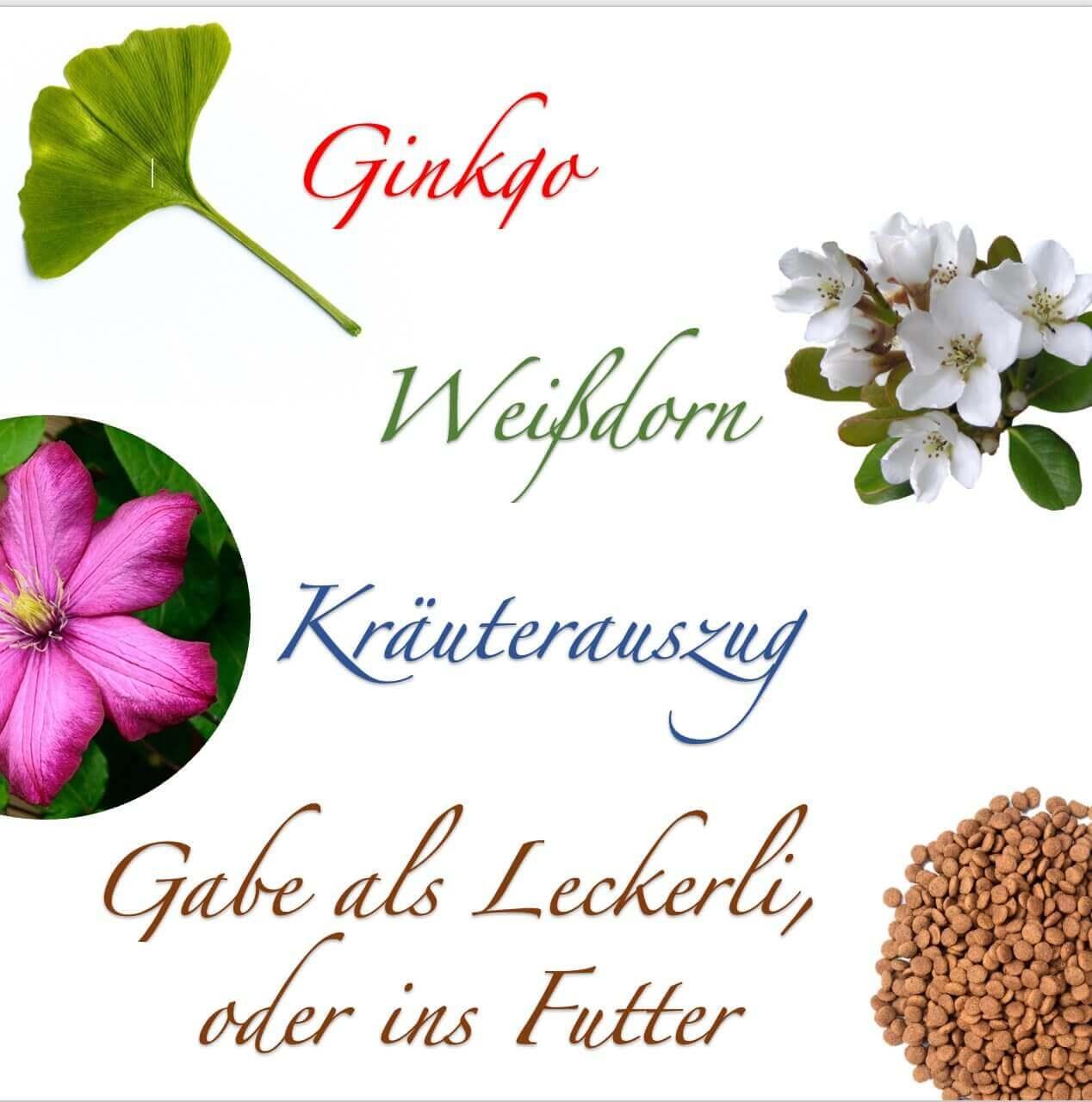 Natürliche Ginkgo Drops Hund – gesunde Hundeleckerlis, leckere Snacks zur Unterstützung von Vitalität und Ausgeglichenheit