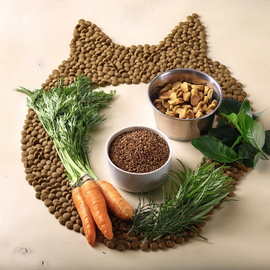 🐕‍🦺 Futter nach Alter & Rasse – Perfekte Ernährung für jede Lebensphase - Tier Glück