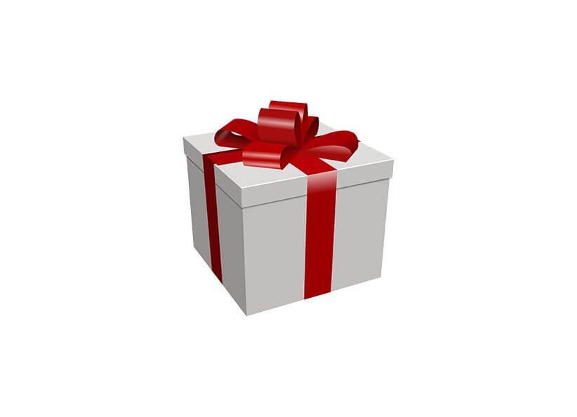 🎄 Weihnachts-Gewinnspiel bei TierGlück – Freude für Mensch & Tier 🎁 - Tier Glück