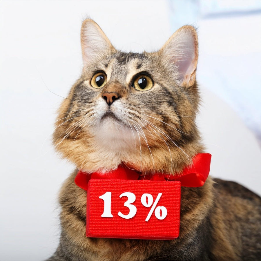 🍀 Glücks-Woche bei Tier-Glück – 13 % Rabatt auf alles! (14.08.–25.08.)
