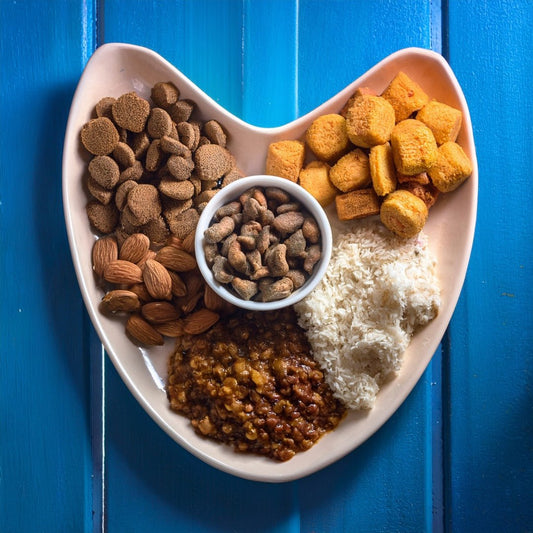 🥩 Nassfutter vs. Trockenfutter – welcher Typ ist besser für Hund & Katze? - Tier Glück