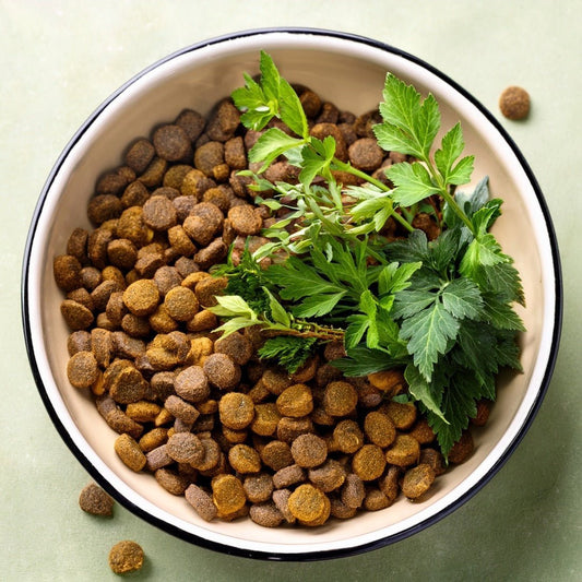 Natürliche Fürsorge für Katzen – mit Wurmerli Drops 🌿 - Tier Glück