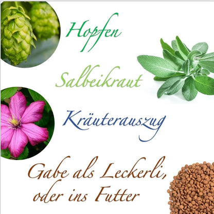Darmerli Drops Katze – Natürliche Hilfe für eine ausgeglichene Darmflora und eine gesunde Verdauung