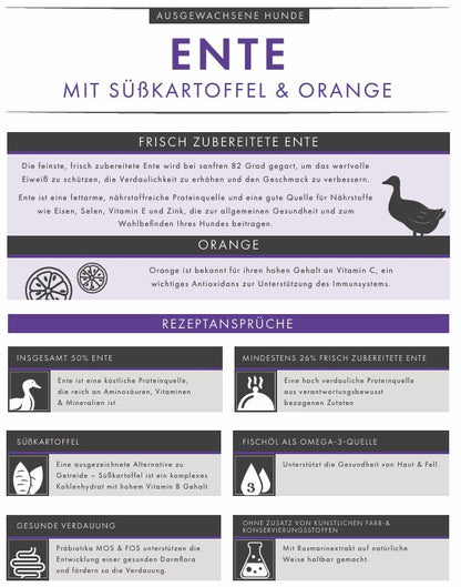 Ente mit Süßkartoffel & Orange – Natürliches, getreidefreies Premium - Hundefutter - Tier Glück