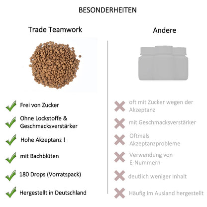 Haut - Harmonie Drops Hund – Natürliche Bachblüten - Leckerlis für Haut & Fellpflege - Tier Glück