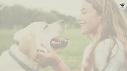 Wurmerli® Drops für Hunde – Natürliche Unterstützung mit grüner Walnuss, Wermut & Angelikawurzel für das Wohlbefinden mit Kräutern