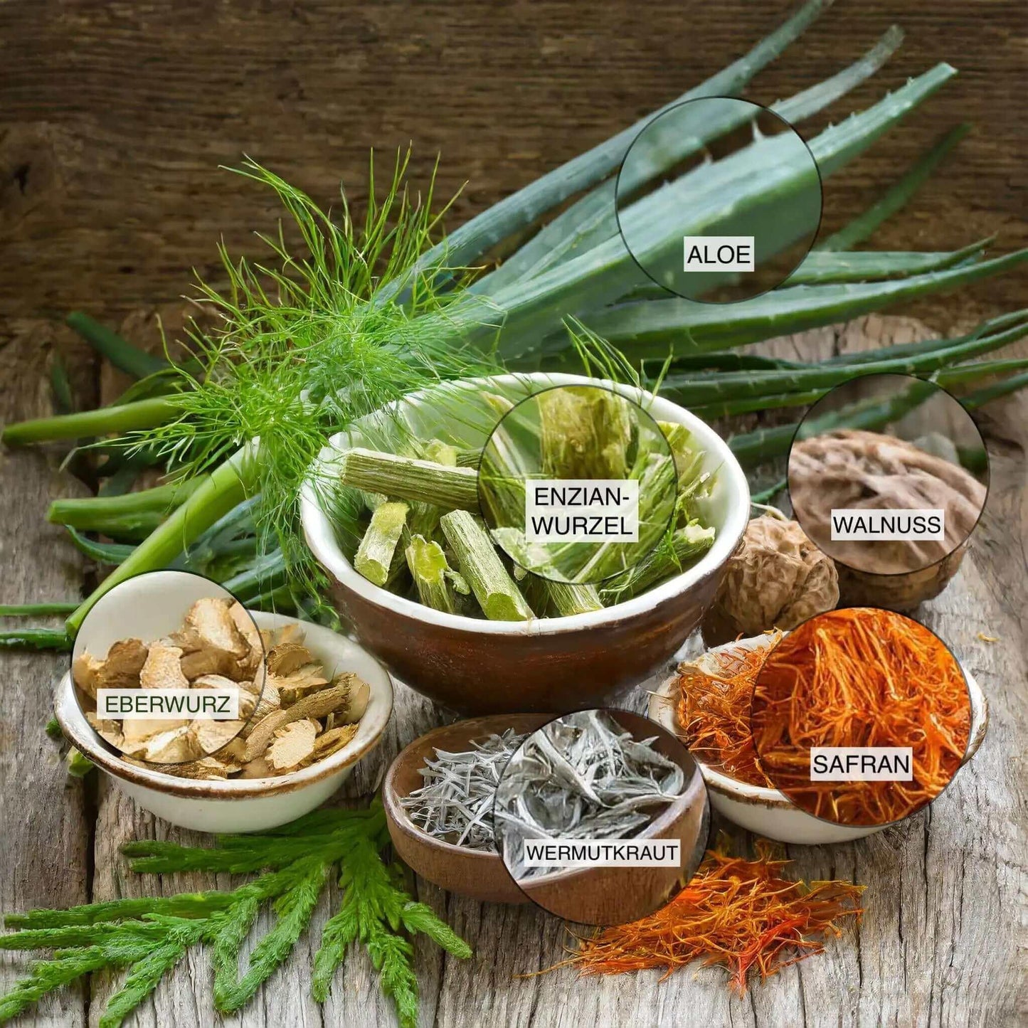 Wurmerli® Drops für Hunde – Natürliche Unterstützung mit grüner Walnuss, Wermut & Angelikawurzel für das Wohlbefinden mit Kräutern - Tier Glück